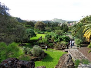 Jardin Canario